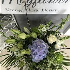 White &amp; Blue Delight