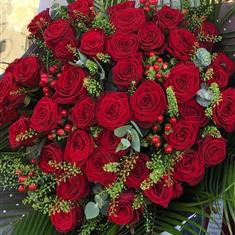 Wow 50 Red Roses