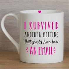 I Survived Another E-mail