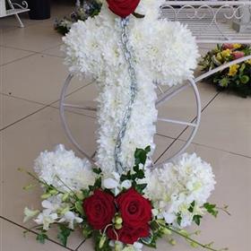 fwthumbIMG_20160717_152959294.jpg